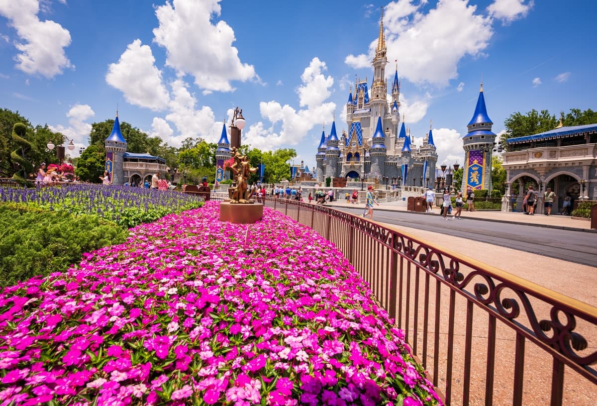 Disney Animal Kingdom News July 2026: What's Happening and